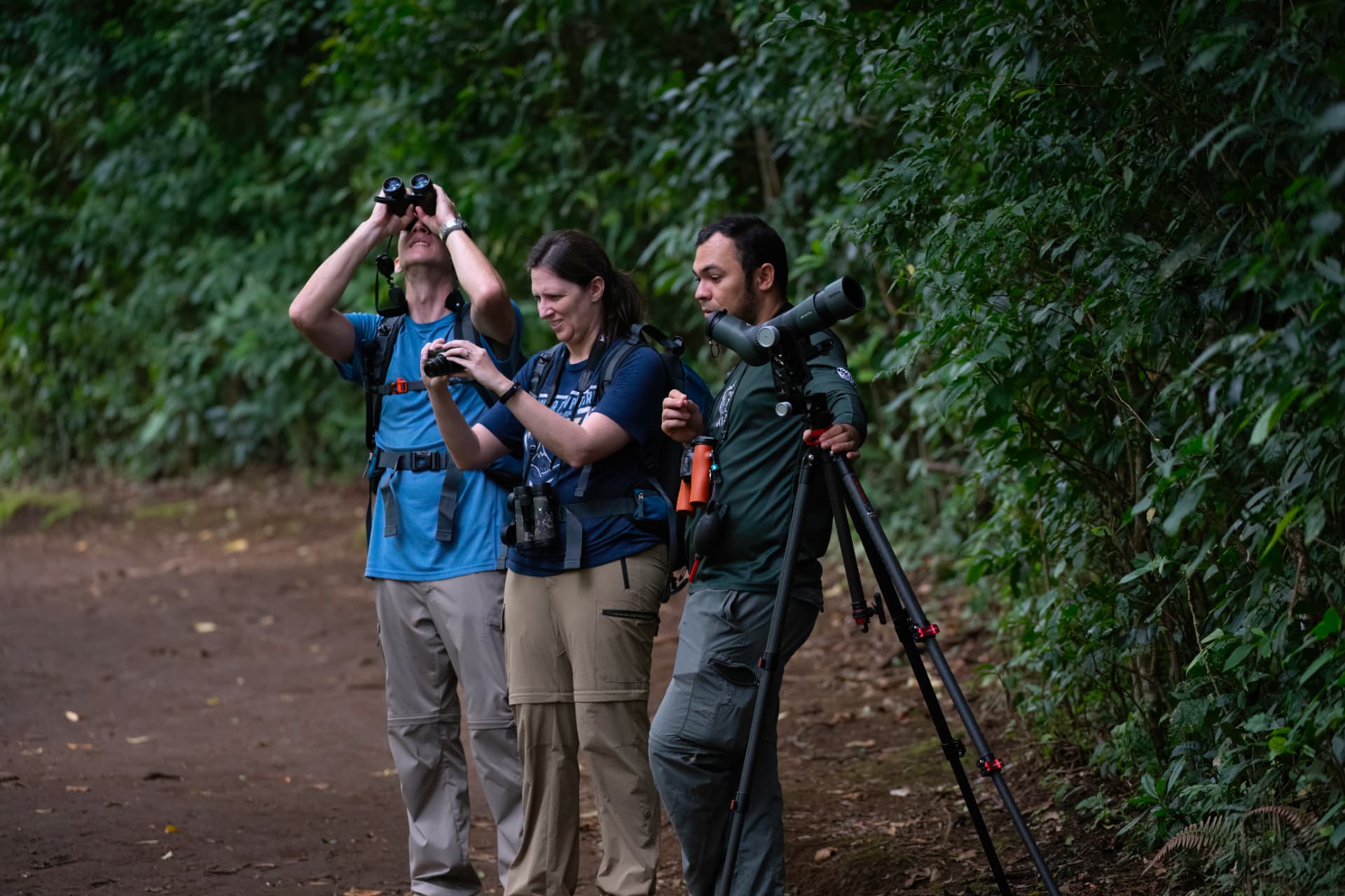 Guide and guests with binoculars scanning the canopy together on a Monteverde trail