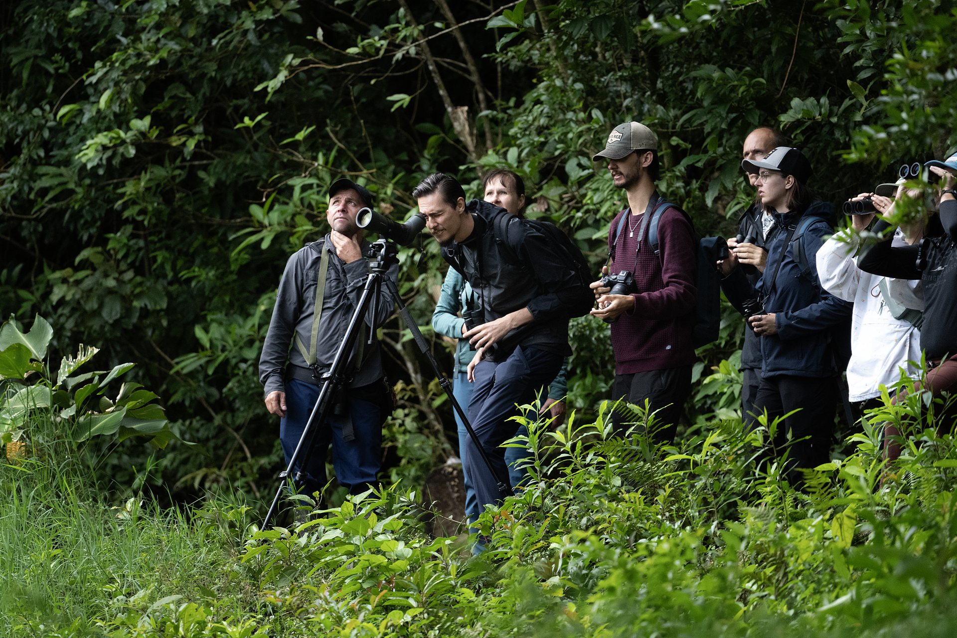 Nasua Tours naturalist guide explaining cloud-forest ecology to a small group