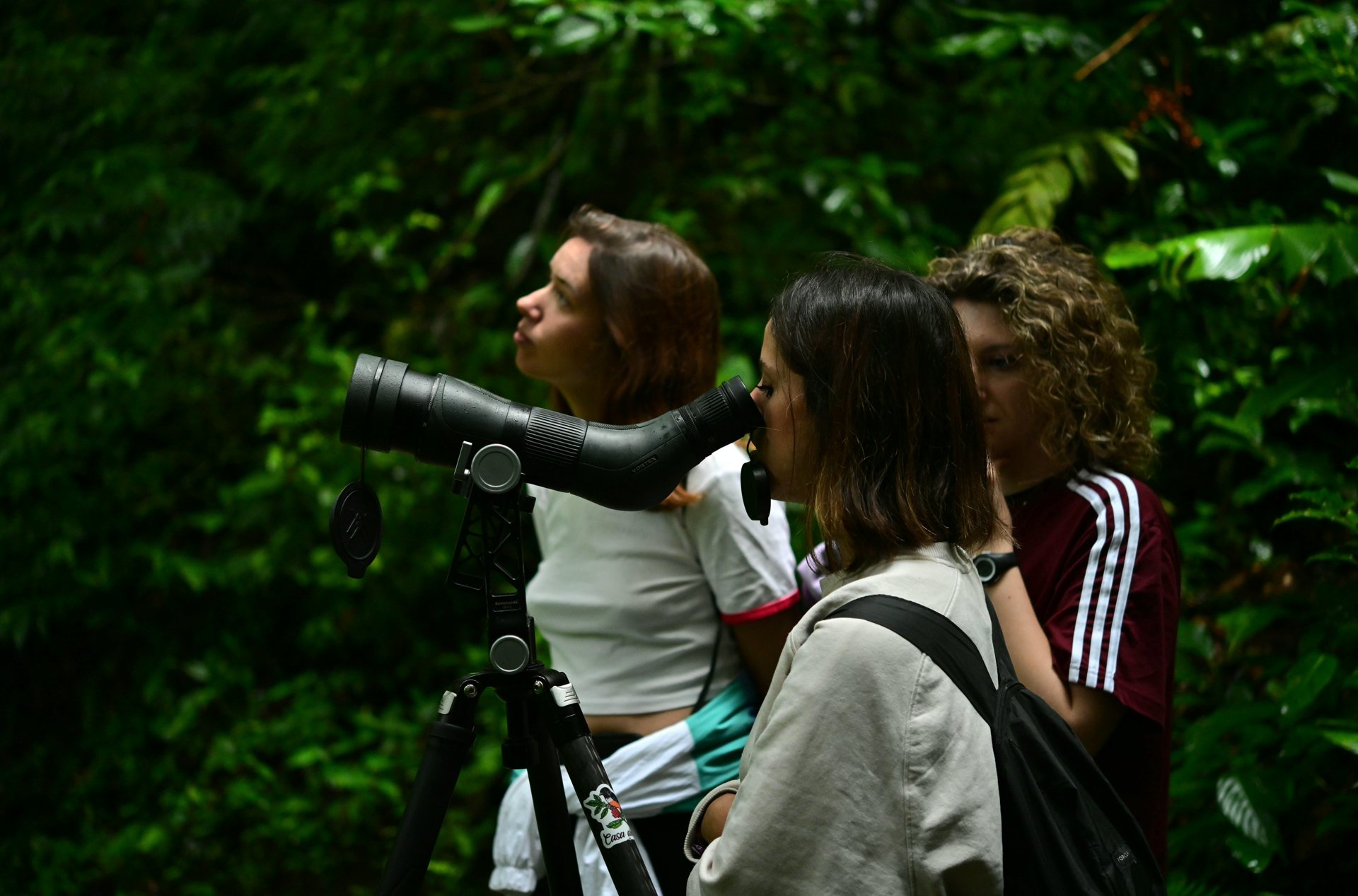 Guest looking through a professional spotting scope at wildlife on a Monteverde trail
