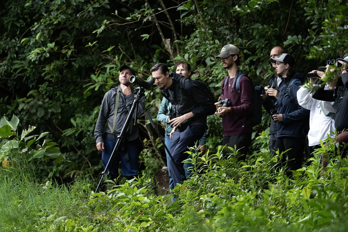 Nasua Tours naturalist guide explaining cloud-forest ecology to a small group
