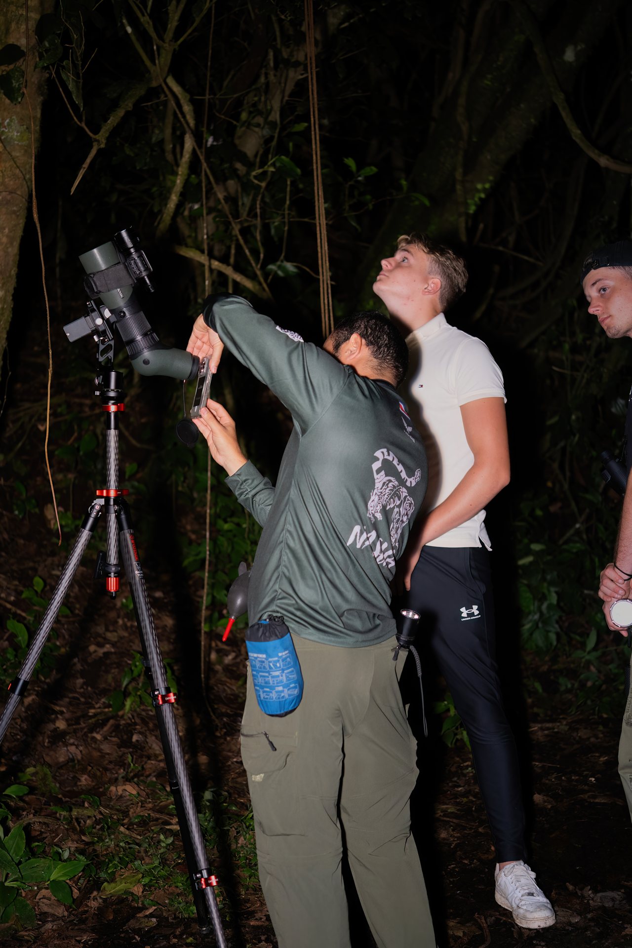 Night Walk — Shared Small Group — Monteverde Wildlife Refuge, Monteverde, Costa Rica