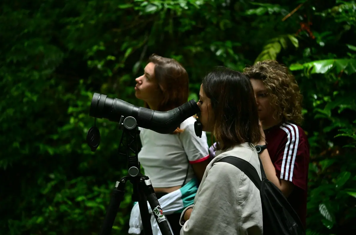 Guest looking through a professional spotting scope at wildlife on a Monteverde trail